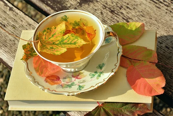 Grow a Cocktail Garden in Pots: Fresh Ingredients for Drinks