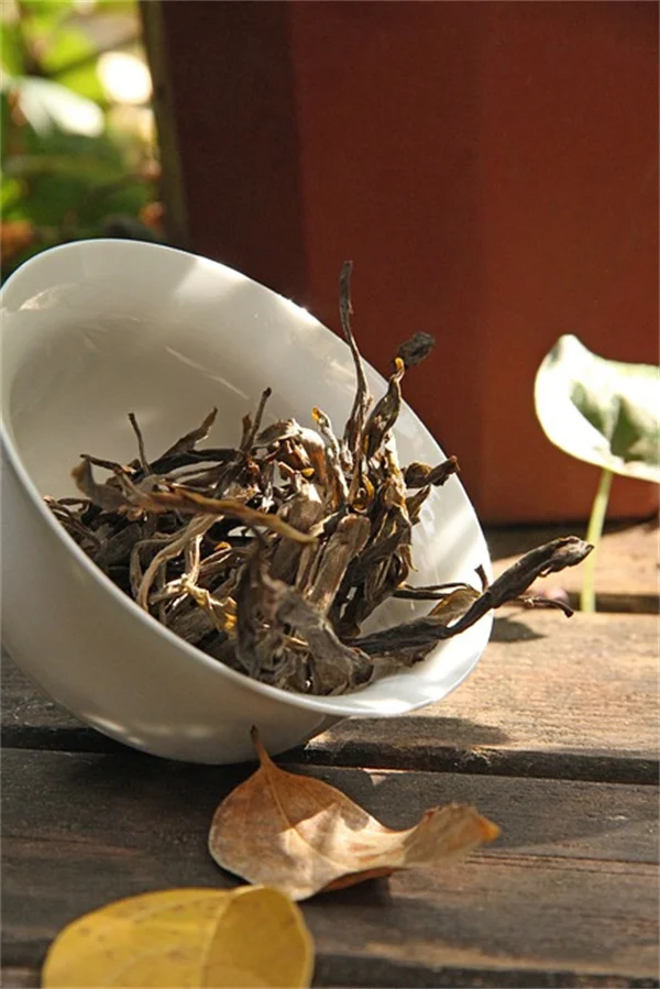Growing Astragalus From Seed? Here's What Nobody Tells You About Harvesting the Root